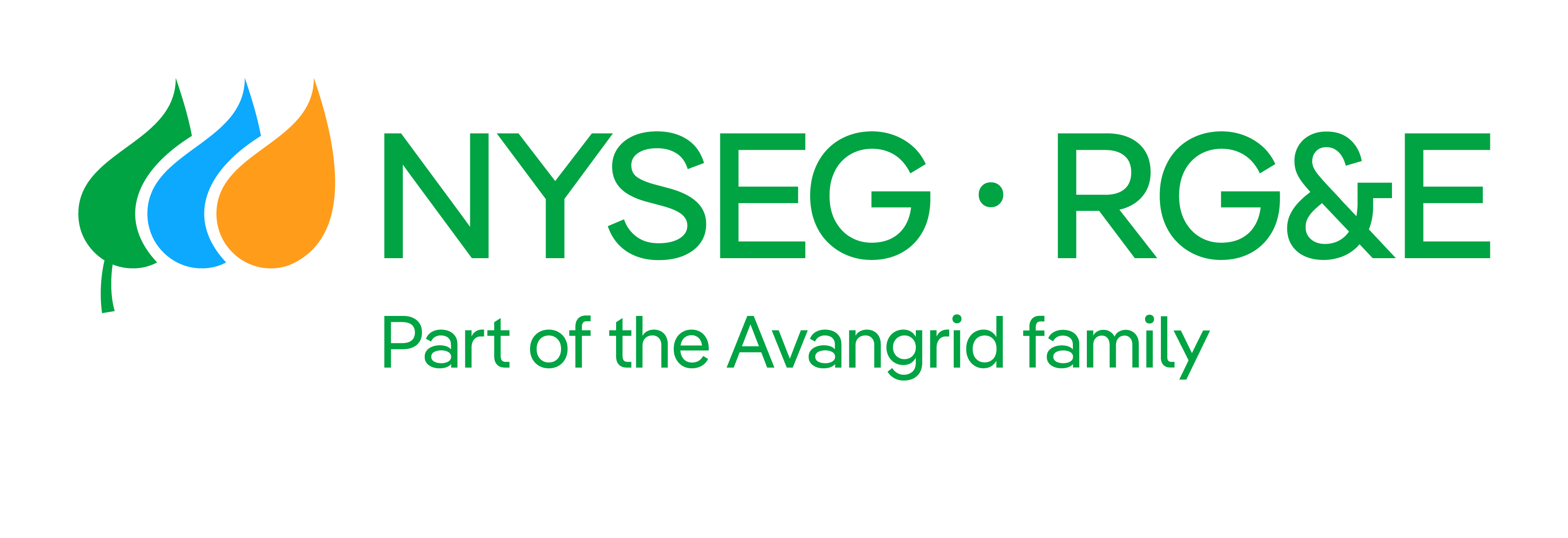 NYSEG-RG&E_Tag Hor RGB (1)